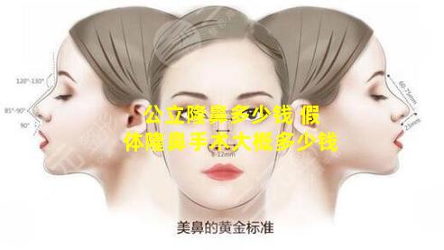 公立隆鼻多少钱 假体隆鼻手术大概多少钱
